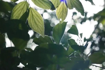 尋找百名困境兒童，聆聽童音，護(hù)苗成長