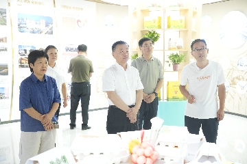【長田動(dòng)態(tài)】區(qū)政協(xié)黨組書記、主席呼廷貴一行蒞臨易豐農(nóng)業(yè)開展專題調(diào)研?